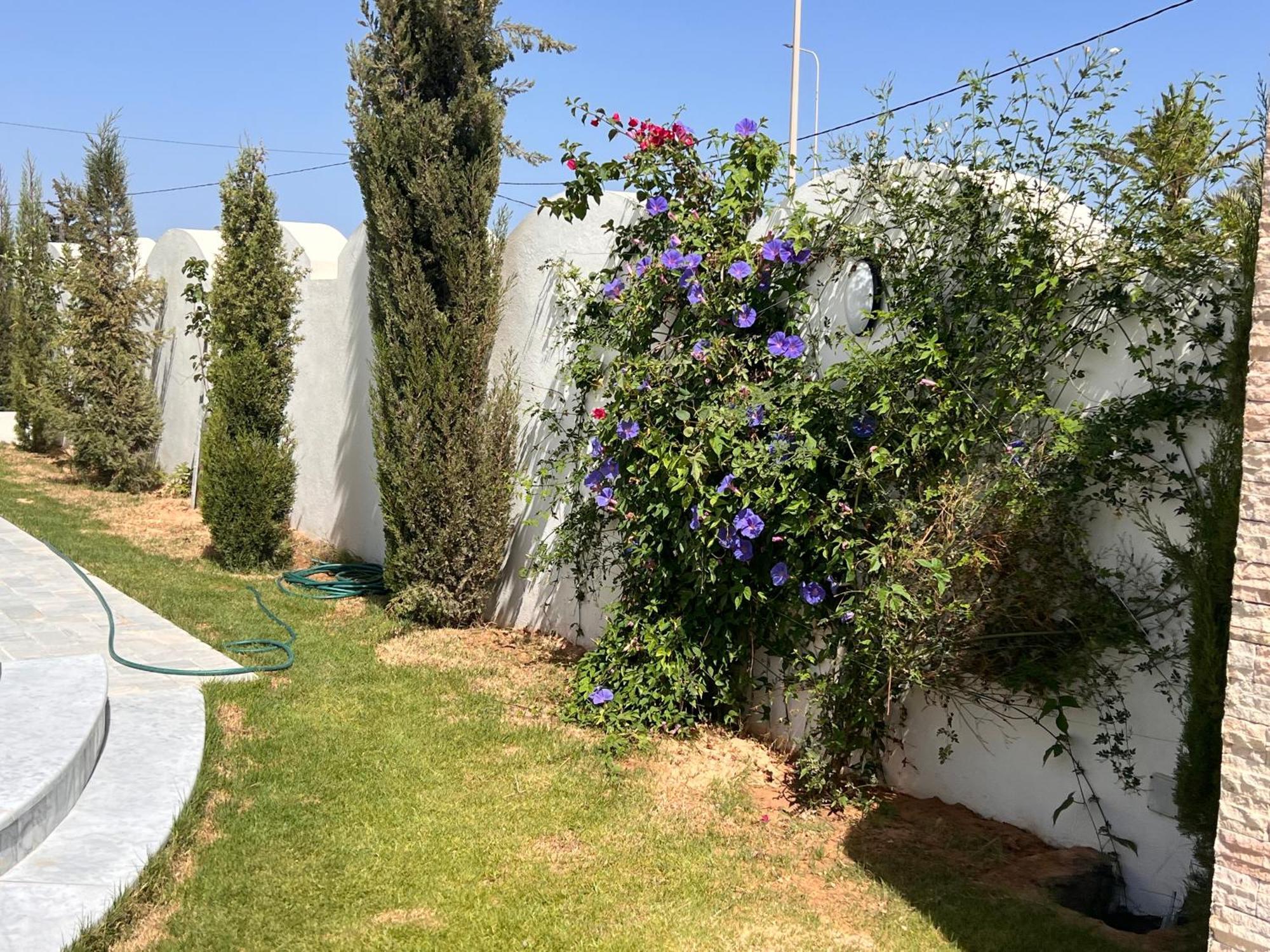 Villalina Haut Standing Djerba Ajim 외부 사진